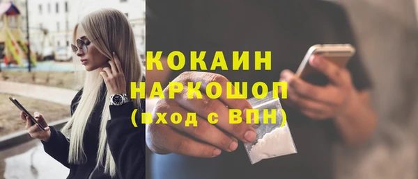 дживик Арсеньев