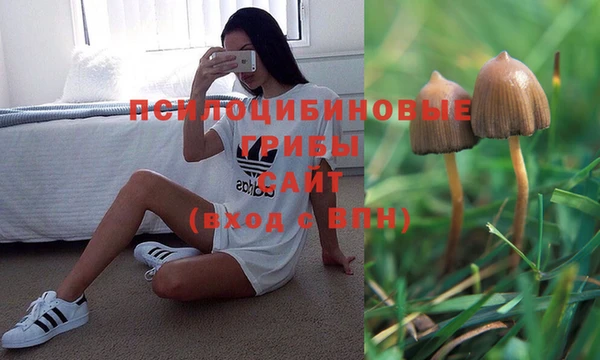 прущий лед Аркадак