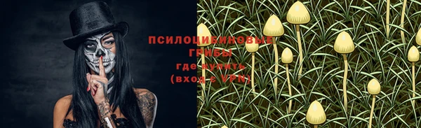 дживик Арсеньев