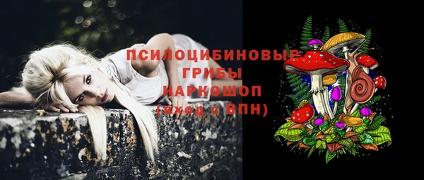 дживик Арсеньев